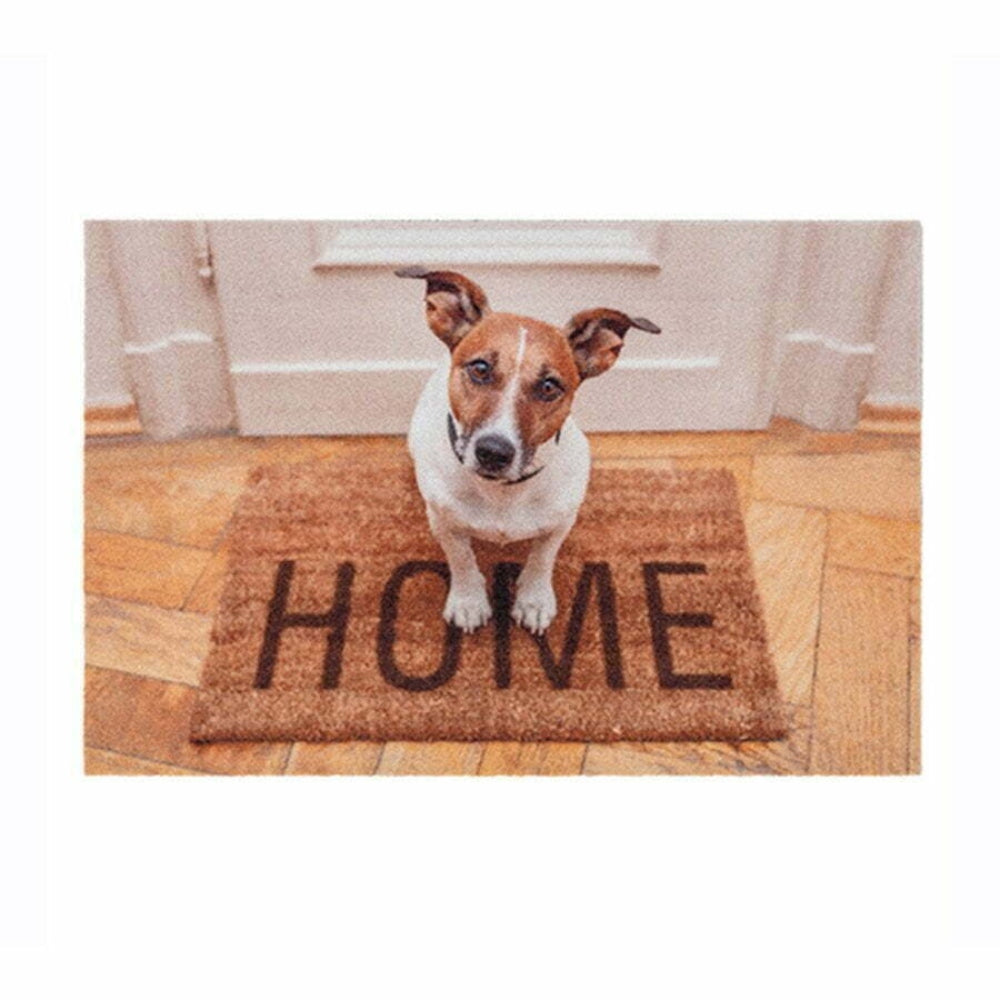 Astra Deco Print Doormat D.101 40 x 60cm - Dog