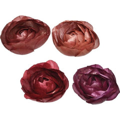 Decoris Polyester Ranunclus Flower with Hook - 4 Assorted Colours