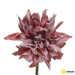 Decoris Silk Chrysanthemum with Snowy Finish - Red