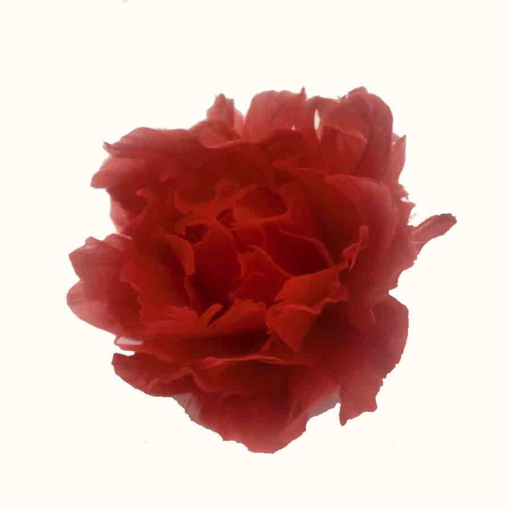 House of Seasons Clip-On Flower 12cm - Red