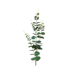 Everlands Eucalyptus on Stem 78cm